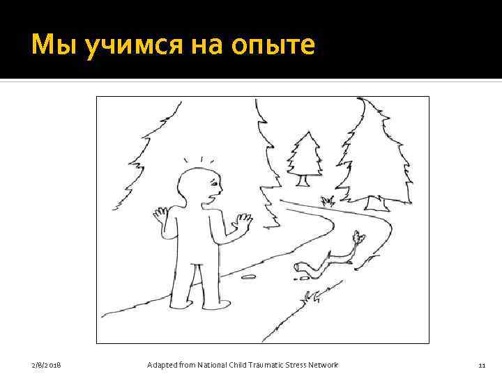 Мы учимся на опыте 2/8/2018 Adapted from National Child Traumatic Stress Network 11 