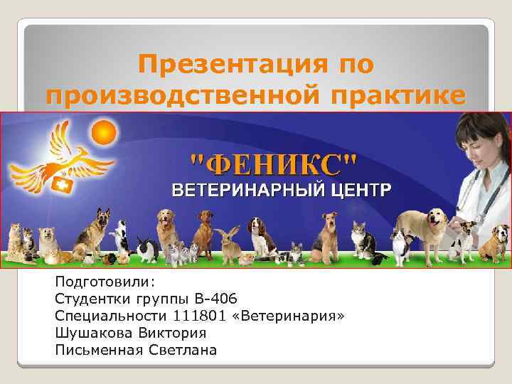Презентация по производственной практике Подготовили: Студентки группы В-406 Специальности 111801 «Ветеринария» Шушакова Виктория Письменная