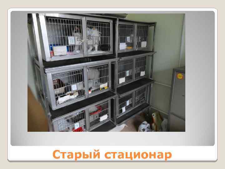 Старый стационар 