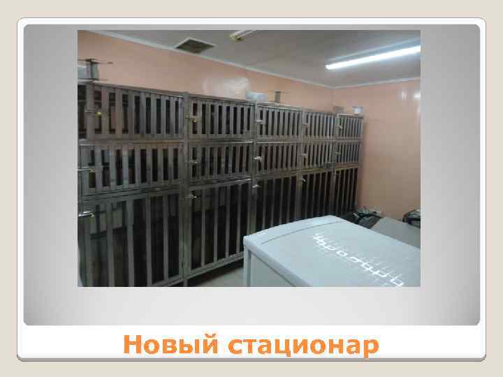 Новый стационар 