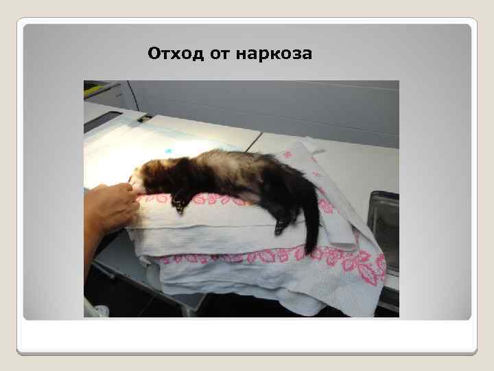 Отход от наркоза 