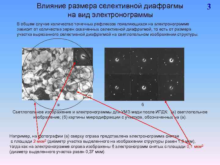 Пэм светлопольное изображение