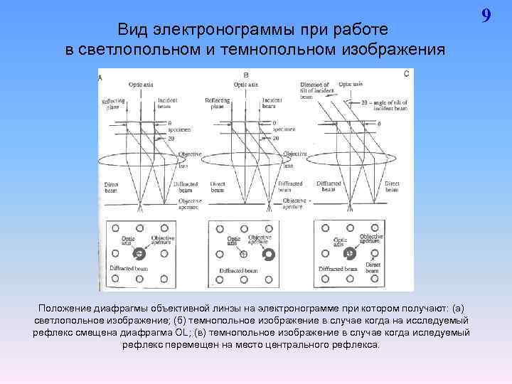 Пэм светлопольное изображение