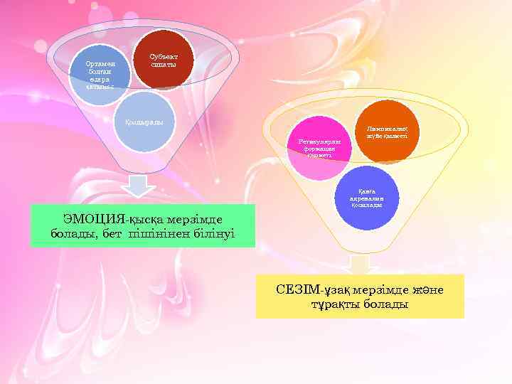 Ортамен болған өзара қатынас Субъект сипаты Қоздырады Ретикулярлы формация қызметі Лимпикалық жүйе қызметі Қанға