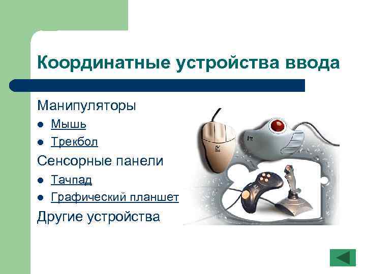 Координатные устройства ввода Манипуляторы l l Мышь Трекбол Сенсорные панели l l Тачпад Графический