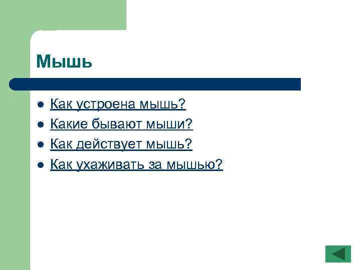 Мышь l l Как устроена мышь? Какие бывают мыши? Как действует мышь? Как ухаживать