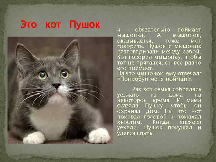 Это кот Пушок и обязательно поймает мышонка. А мышонок, оказывается, тоже мог говорить. Пушок