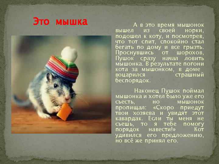 Это мышка А в это время мышонок вышел из своей норки, подошел к коту,