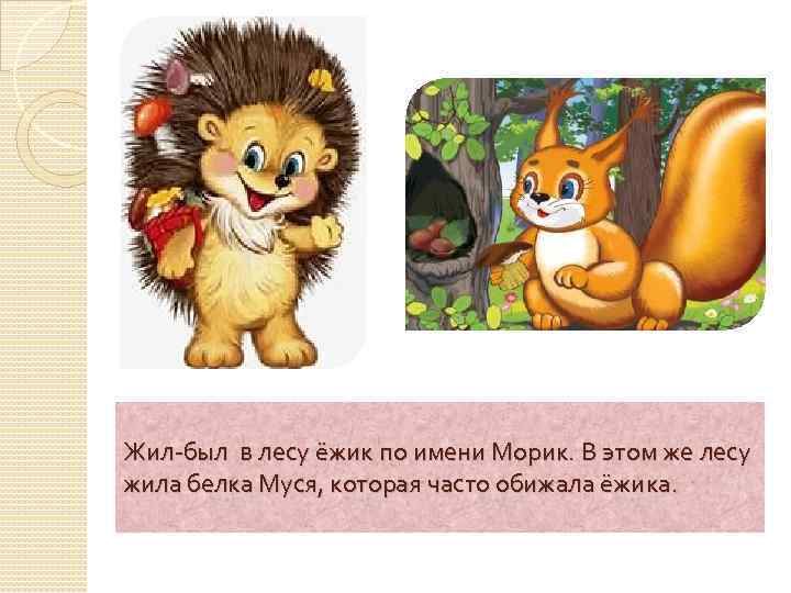 Жил-был в лесу ёжик по имени Морик. В этом же лесу жила белка Муся,