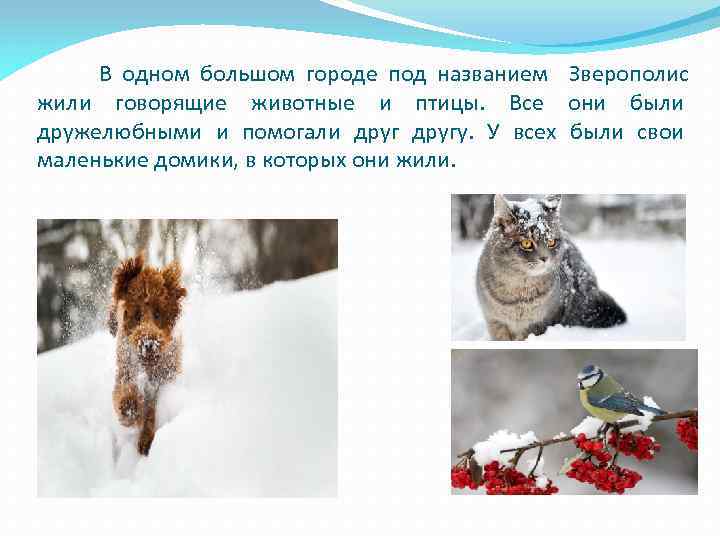 В одном большом городе под названием Зверополис жили говорящие животные и птицы. Все они