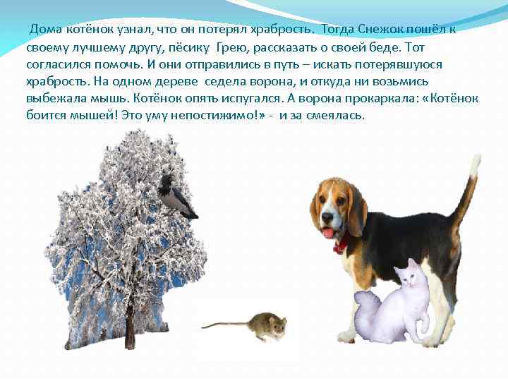 Дома котёнок узнал, что он потерял храбрость. Тогда Снежок пошёл к своему лучшему другу,
