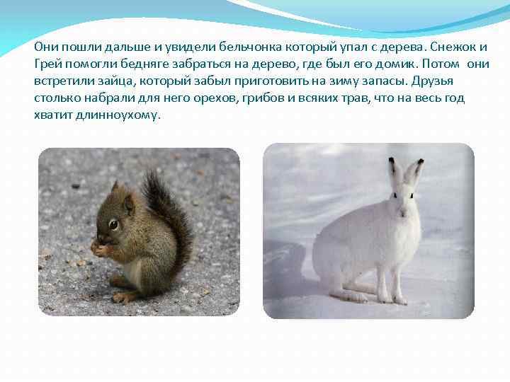 Они пошли дальше и увидели бельчонка который упал с дерева. Снежок и Грей помогли