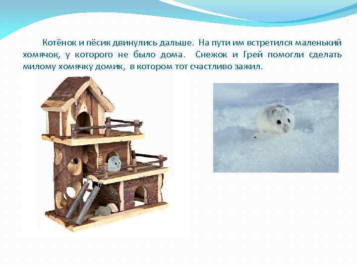 Котёнок и пёсик двинулись дальше. На пути им встретился маленький хомячок, у которого не