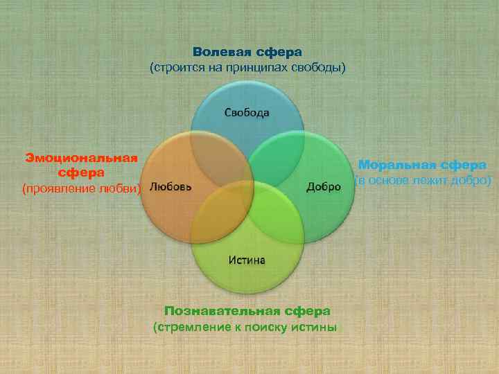 Волевая сфера (строится на принципах свободы) Эмоциональная сфера (проявление любви) Моральная сфера (в основе