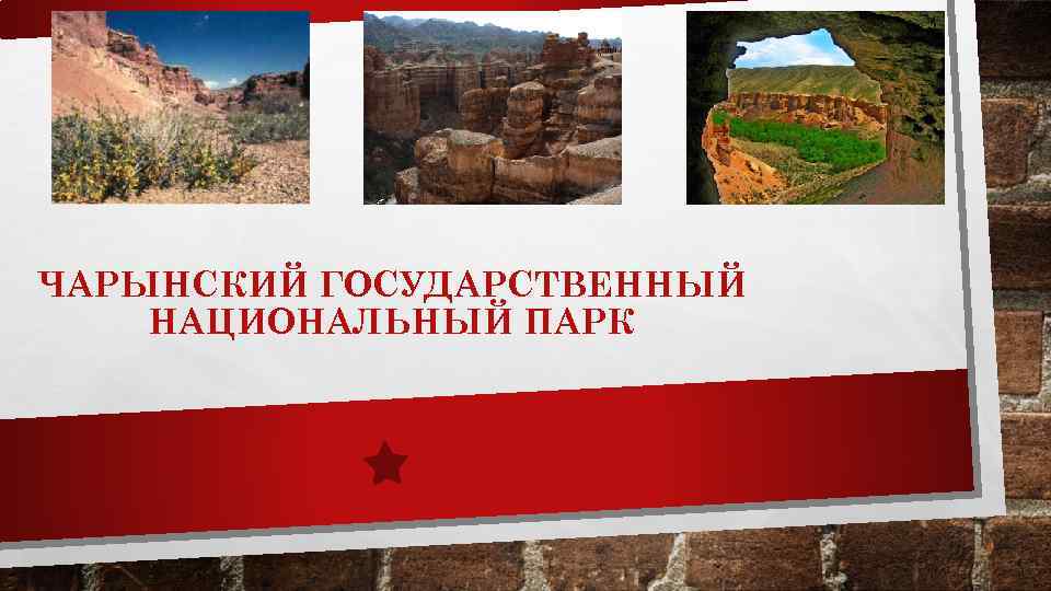 ЧАРЫНСКИЙ ГОСУДАРСТВЕННЫЙ НАЦИОНАЛЬНЫЙ ПАРК 