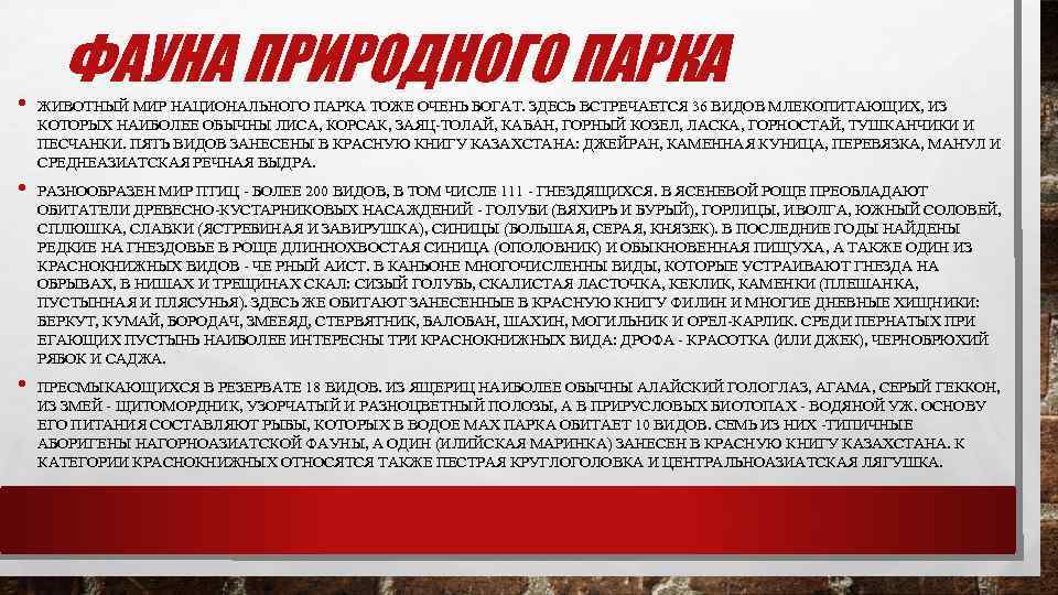  • • • ФАУНА ПРИРОДНОГО ПАРКА ЖИВОТНЫЙ МИР НАЦИОНАЛЬНОГО ПАРКА ТОЖЕ ОЧЕНЬ БОГАТ.