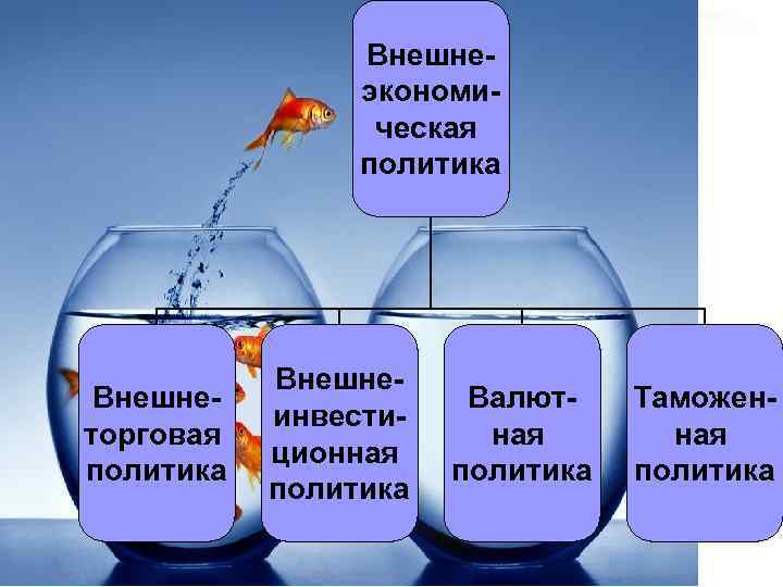 Внешнеэкономическая политика Внешнеторговая политика Внешнеинвестиционная политика Валютная политика Таможенная политика 