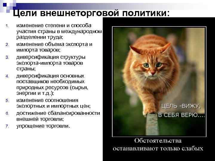 Цели внешнеторговой политики: 1. 2. 3. 4. 5. 6. 7. изменение степени и способа