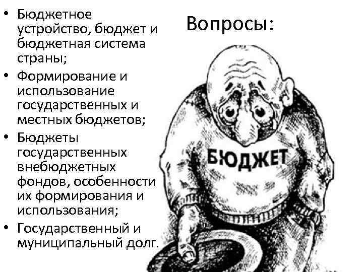  • Бюджетное устройство, бюджет и бюджетная система страны; • Формирование и использование государственных
