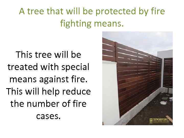 A tree that will be protected by fire fighting means. This tree will be