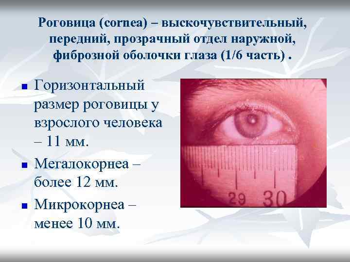 Роговица (cornea) – выскочувствительный, передний, прозрачный отдел наружной, фиброзной оболочки глаза (1/6 часть). n