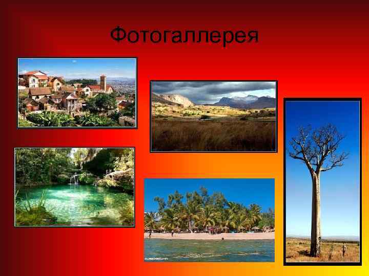 Фотогаллерея 