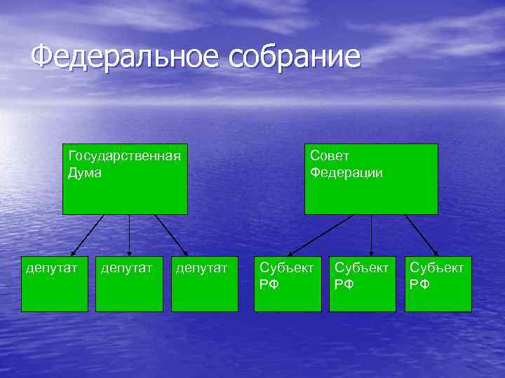 Федеральное собрание Государственная Дума депутат Совет Федерации Субъект РФ 
