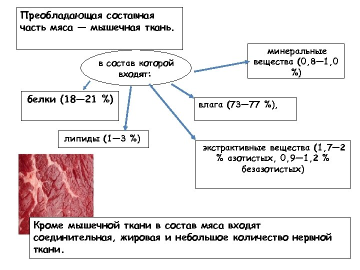 Преобладающая составная часть мяса — мышечная ткань. в состав которой входят: белки (18— 21
