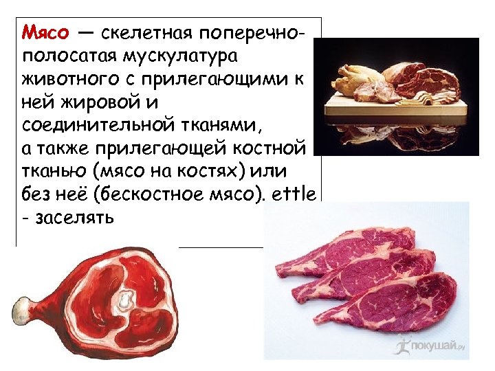 Мясо — скелетная поперечнополосатая мускулатура животного с прилегающими к ней жировой и соединительной тканями,
