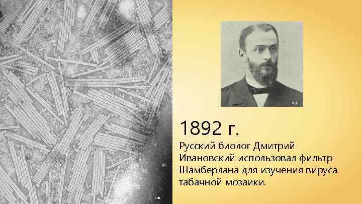 Ctac 1892 г. Русский биолог Дмитрий Ивановский использовал фильтр Шамберлана для изучения вируса табачной