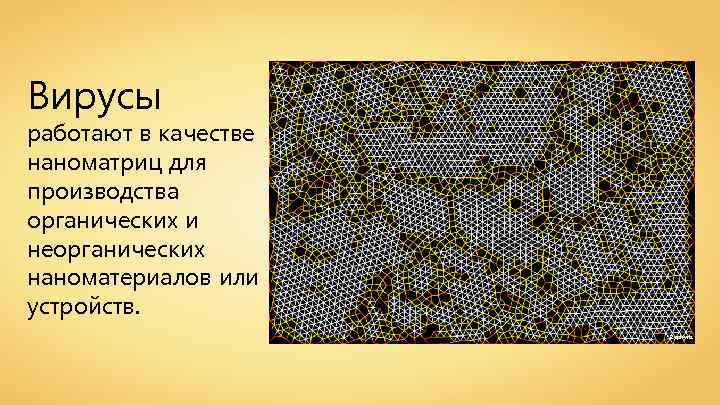 Вирусы работают в качестве наноматриц для производства органических и неорганических наноматериалов или устройств. Zephyris