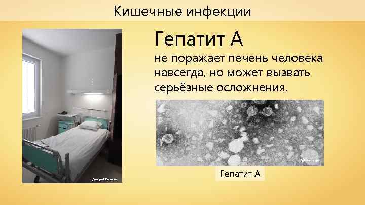Кишечные инфекции Гепатит А не поражает печень человека навсегда, но может вызвать серьёзные осложнения.