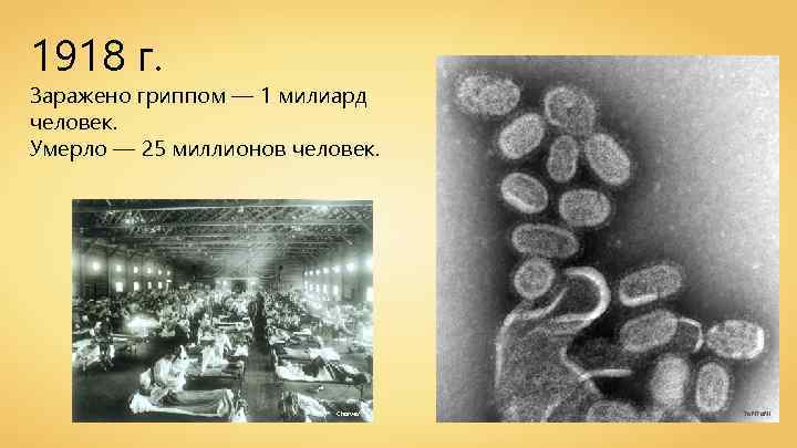 1918 г. Заражено гриппом — 1 милиард человек. Умерло — 25 миллионов человек. Charvex