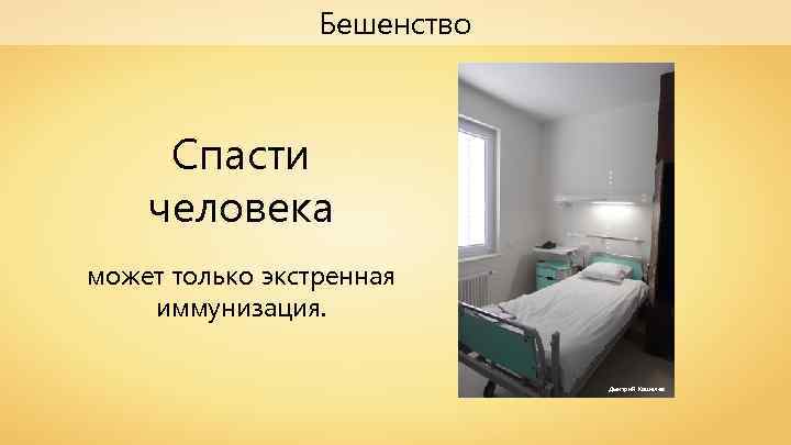 Бешенство Спасти человека может только экстренная иммунизация. Дмитрий Кошелев 