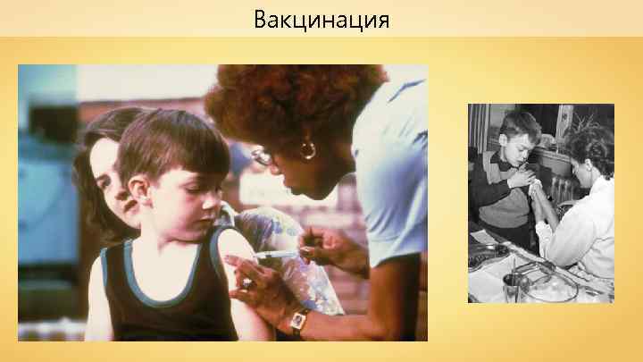 Вакцинация 