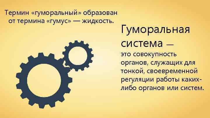 Термин «гуморальный» образован от термина «гумус» — жидкость. Гуморальная система — это совокупность органов,