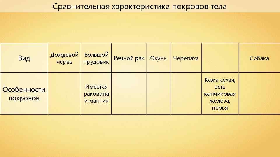 Характеристика тела. Сравнительная характеристика покровов тела. Покровы тела сравнительная таблица. Сравнительная характеристика покровов тела таблица. Эволюция покровов тела таблица.