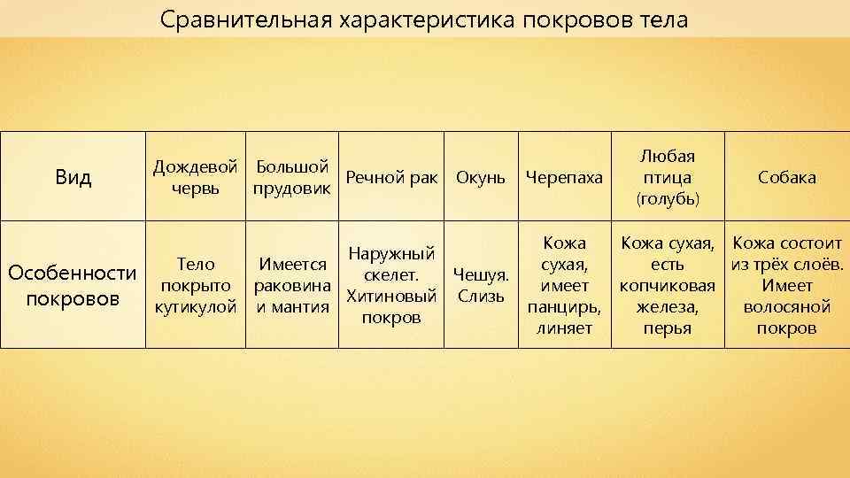 1 3 сравнительная характеристика. Таблица по биологии 7 класс покровы тела. Сравнительная характеристика покровов тела. Покровы тела сравнительная таблица. Сравнительная характеристика покровов тела таблица.