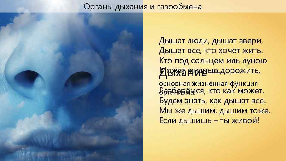 Органы дыхания и газообмена Дышат люди, дышат звери, Дышат все, кто хочет жить. Кто