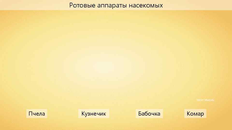 Ротовые аппараты насекомых Xavier Vázquez Пчела Кузнечик Бабочка Комар 