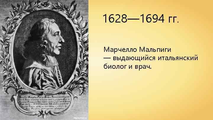 1628— 1694 гг. Марчелло Мальпиги — выдающийся итальянский биолог и врач. Magnus Manske 