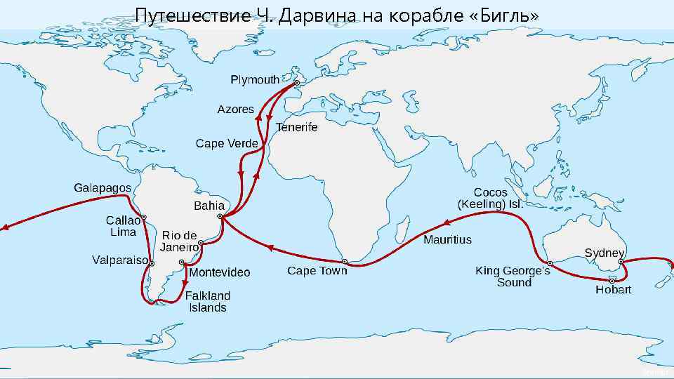 Путешествие Ч. Дарвина на корабле «Бигль» Sémhur 
