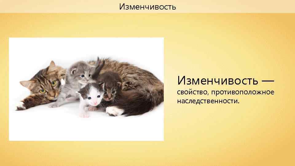 Изменчивость — свойство, противоположное наследственности. 