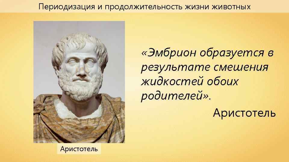 Периодизация и продолжительность жизни животных «Эмбрион образуется в результате смешения жидкостей обоих родителей» .