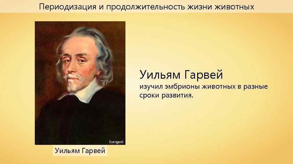 Презентация периодизация и продолжительность жизни животных 7 класс биология