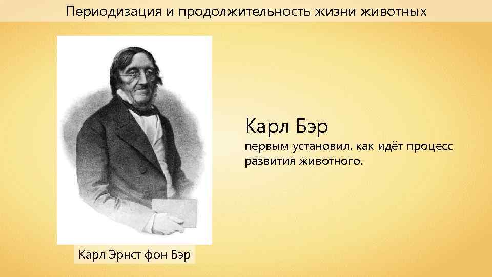 Презентация периодизация и продолжительность жизни животных 7 класс презентация