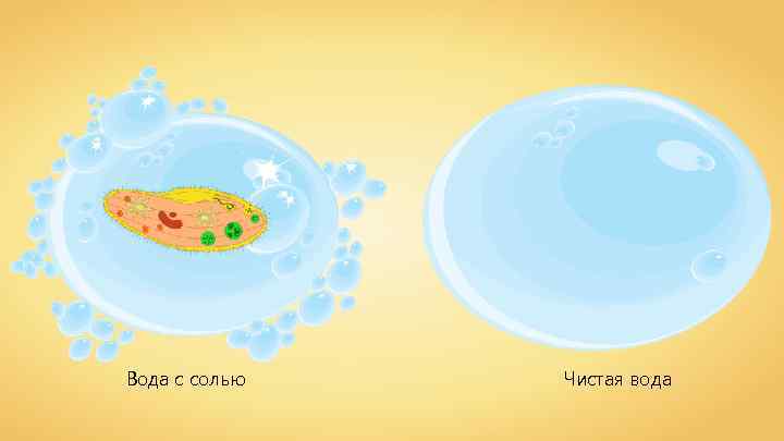 Вода с солью Чистая вода 