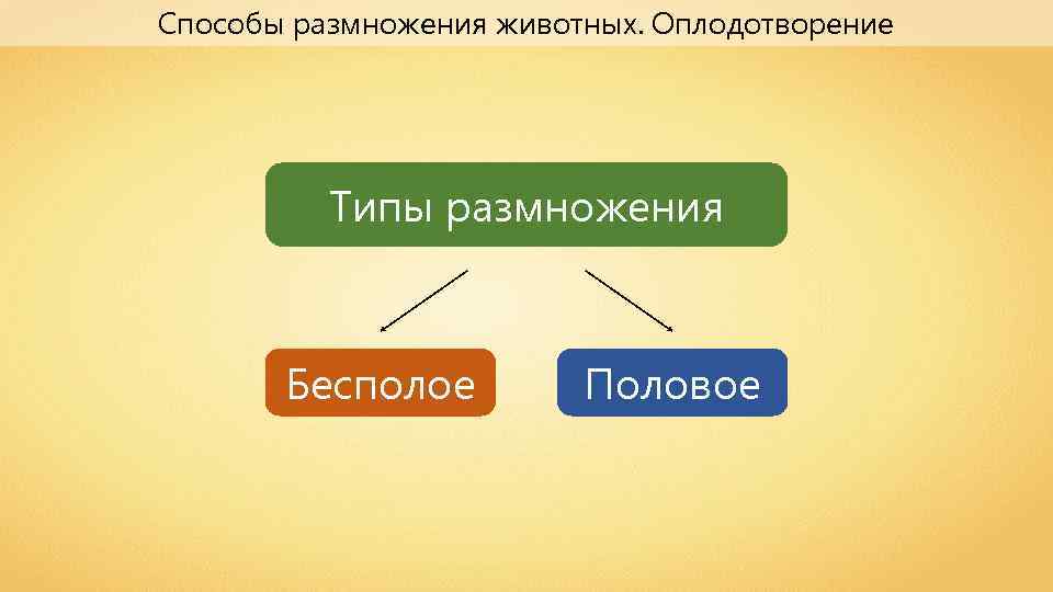 Способы размножения животных. Оплодотворение Типы размножения Бесполое Половое 