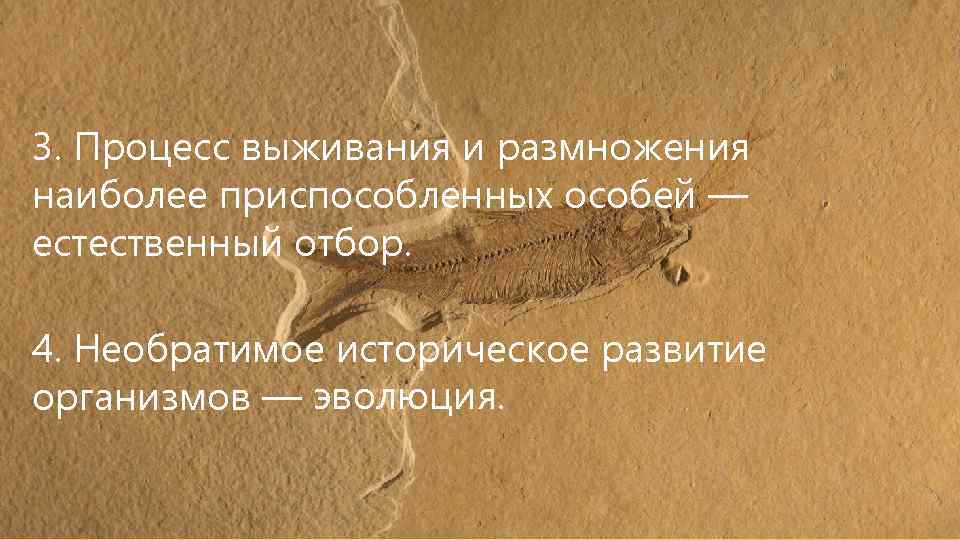 3. Процесс выживания и размножения наиболее приспособленных особей — естественный отбор. 4. Необратимое историческое