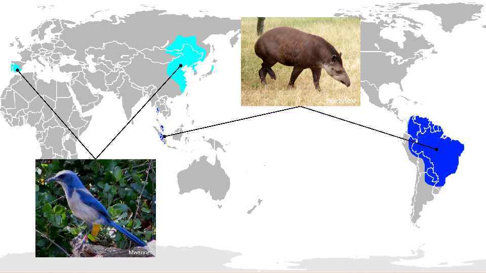 Piotr 291092 Mwanner 